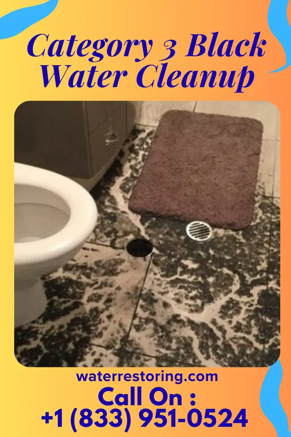 Category 3 Black Water Cleanup in Hybla Valley, VA