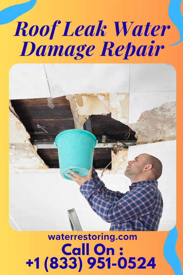 Roof Leak Water Damage Repair in Hybla Valley, VA